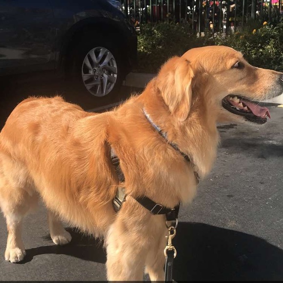 Meet your Posher, Stephanie - Picture 1 of 1